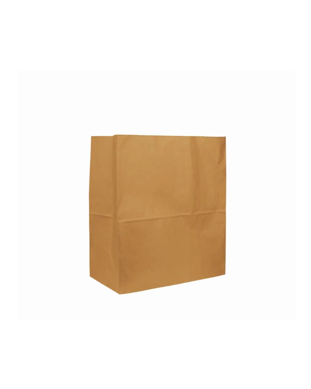 Large Paper Bag