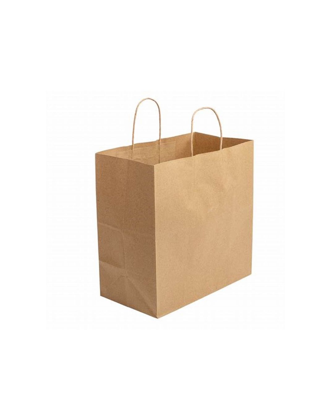 Large Takeaway Bag