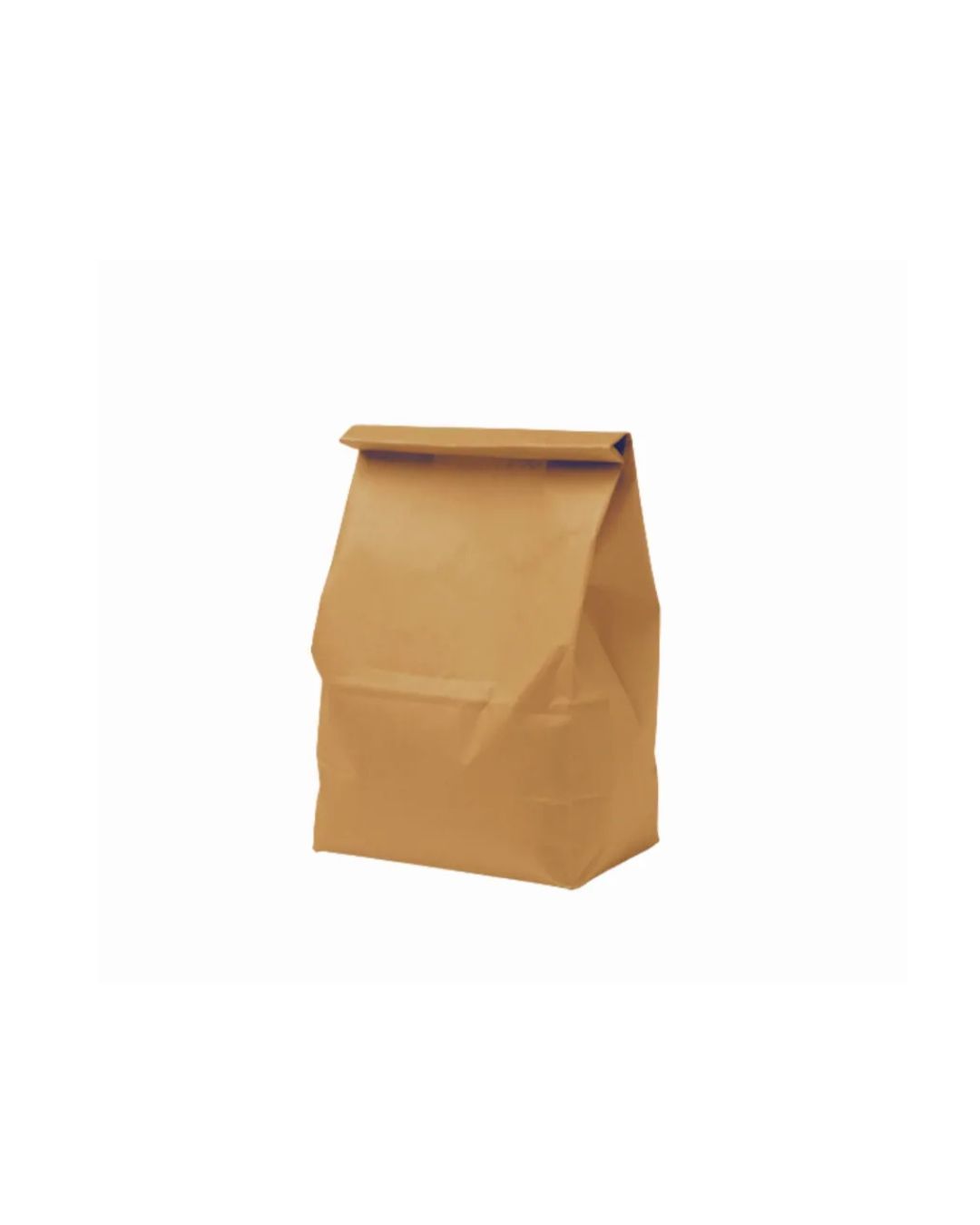 Medium Paper Bag